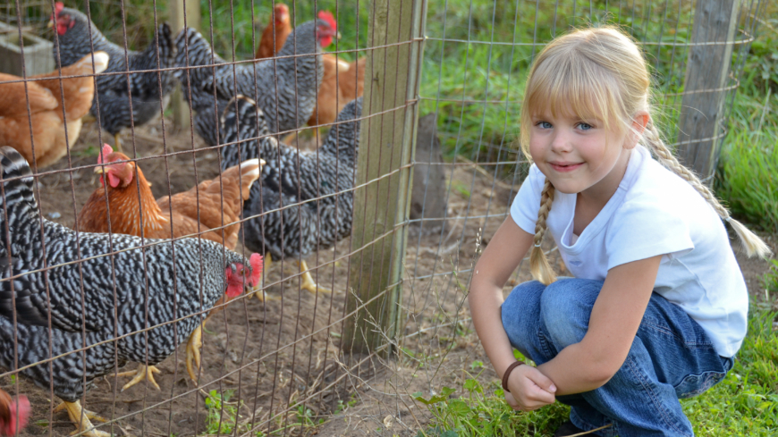 Barn som växte upp på en bondgård hade en lägre tendens att utveckla allergi.  Foto: Shutterstock
